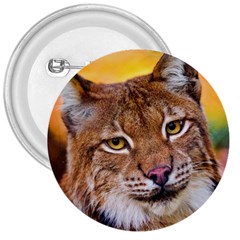 Tiger Beetle Lion Tiger Animals 3  Buttons by Mariart