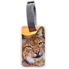 Tiger Beetle Lion Tiger Animals Luggage Tags (one Side)  by Mariart