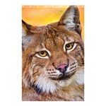 Tiger Beetle Lion Tiger Animals Shower Curtain 48  x 72  (Small)  Curtain(48  X 72 ) - 42.18 x64.8  Curtain(48  X 72 )