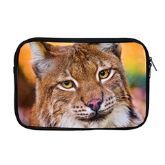 Tiger Beetle Lion Tiger Animals Apple Macbook Pro 17  Zipper Case by Mariart