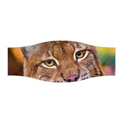 Tiger Beetle Lion Tiger Animals Stretchable Headband by Mariart