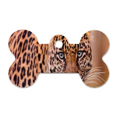Tiger Beetle Lion Tiger Animals Leopard Dog Tag Bone (two Sides) by Mariart