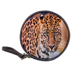 Tiger Beetle Lion Tiger Animals Leopard Classic 20-cd Wallets by Mariart