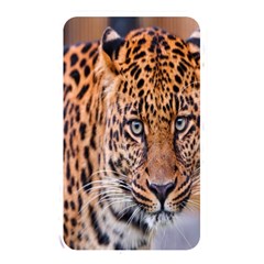 Tiger Beetle Lion Tiger Animals Leopard Memory Card Reader