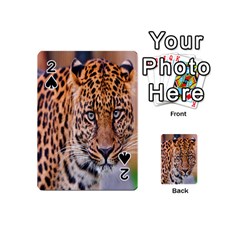 Tiger Beetle Lion Tiger Animals Leopard Playing Cards 54 (mini)  by Mariart