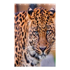 Tiger Beetle Lion Tiger Animals Leopard Shower Curtain 48  X 72  (small) 