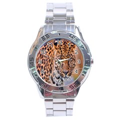 Tiger Beetle Lion Tiger Animals Leopard Stainless Steel Analogue Watch