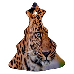 Tiger Beetle Lion Tiger Animals Leopard Ornament (christmas Tree)  by Mariart