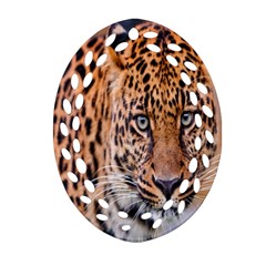 Tiger Beetle Lion Tiger Animals Leopard Ornament (oval Filigree)