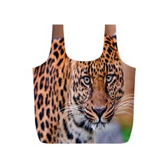 Tiger Beetle Lion Tiger Animals Leopard Full Print Recycle Bags (s) 