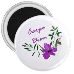 Carpe Diem  3  Magnets