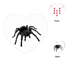 Tarantula Playing Cards (heart)  by Valentinaart