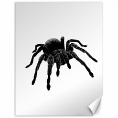 Tarantula Canvas 12  X 16   by Valentinaart