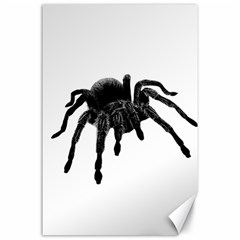 Tarantula Canvas 24  X 36  by Valentinaart