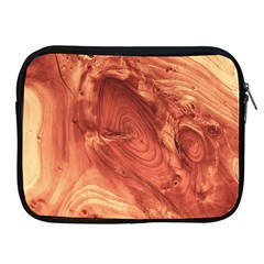 Fantastic Wood Grain 917b Apple iPad 2/3/4 Zipper Cases