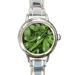 Marijuana Plants Pattern Round Italian Charm Watch Front