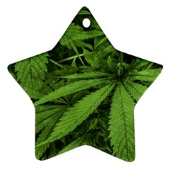 Marijuana Plants Pattern Ornament (Star)