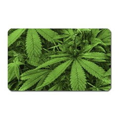 Marijuana Plants Pattern Magnet (Rectangular)