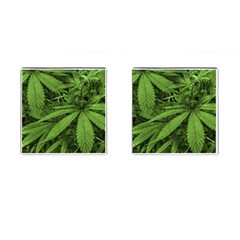 Marijuana Plants Pattern Cufflinks (Square)