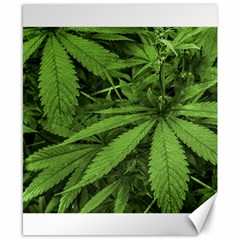 Marijuana Plants Pattern Canvas 8  x 10 