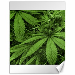 Marijuana Plants Pattern Canvas 12  x 16  