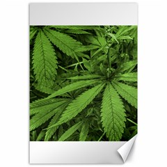 Marijuana Plants Pattern Canvas 24  x 36 