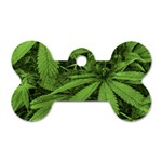 Marijuana Plants Pattern Dog Tag Bone (Two Sides) Front