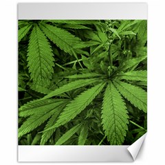 Marijuana Plants Pattern Canvas 11  x 14  