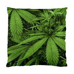 Marijuana Plants Pattern Standard Cushion Case (One Side)