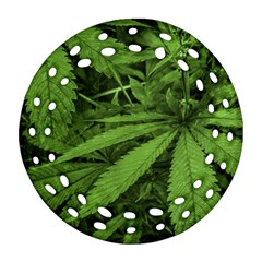Marijuana Plants Pattern Ornament (Round Filigree)