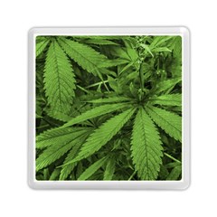 Marijuana Plants Pattern Memory Card Reader (square)  by dflcprints