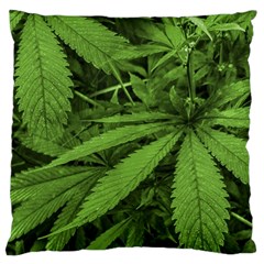 Marijuana Plants Pattern Large Cushion Case (two Sides) by dflcprints