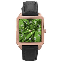 Marijuana Plants Pattern Rose Gold Leather Watch 