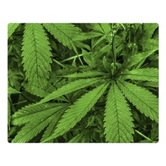 Marijuana Plants Pattern Double Sided Flano Blanket (Large) 