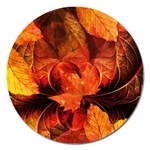 Ablaze With Beautiful Fractal Fall Colors Magnet 5  (Round) Front