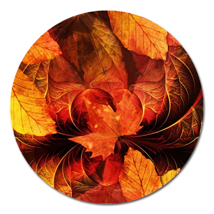 Ablaze With Beautiful Fractal Fall Colors Magnet 5  (Round)