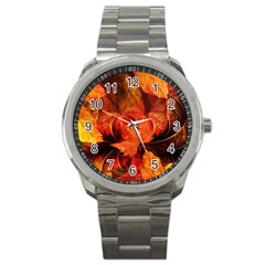 Ablaze With Beautiful Fractal Fall Colors Sport Metal Watch by jayaprime