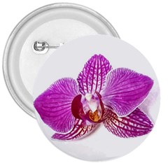 Lilac Phalaenopsis Aquarel  Watercolor Art Painting 3  Buttons by picsaspassion