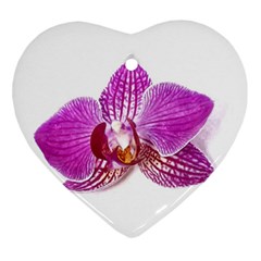 Lilac Phalaenopsis Aquarel  Watercolor Art Painting Ornament (heart) by picsaspassion
