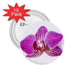 Lilac Phalaenopsis Aquarel  Watercolor Art Painting 2 25  Buttons (10 Pack)  by picsaspassion