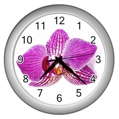 Lilac Phalaenopsis Aquarel  Watercolor Art Painting Wall Clocks (silver)  by picsaspassion