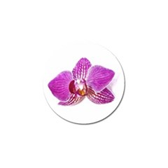 Lilac Phalaenopsis Aquarel  Watercolor Art Painting Golf Ball Marker (4 Pack) by picsaspassion