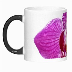 Lilac Phalaenopsis Aquarel  Watercolor Art Painting Morph Mugs by picsaspassion