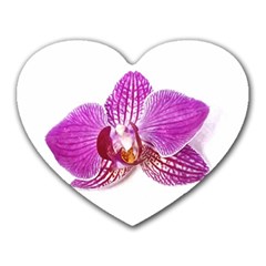 Lilac Phalaenopsis Aquarel  Watercolor Art Painting Heart Mousepads by picsaspassion