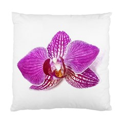 Lilac Phalaenopsis Aquarel  Watercolor Art Painting Standard Cushion Case (one Side) by picsaspassion