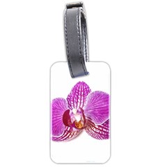 Lilac Phalaenopsis Aquarel  Watercolor Art Painting Luggage Tags (two Sides)