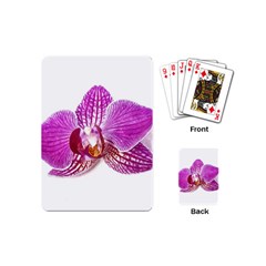 Lilac Phalaenopsis Aquarel  watercolor art painting Playing Cards (Mini) 