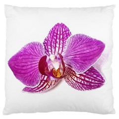 Lilac Phalaenopsis Aquarel  Watercolor Art Painting Large Cushion Case (one Side) by picsaspassion