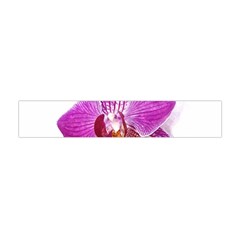 Lilac Phalaenopsis Aquarel  Watercolor Art Painting Flano Scarf (mini) by picsaspassion