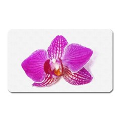 Lilac Phalaenopsis Flower, Floral Oil Painting Art Magnet (rectangular) by picsaspassion